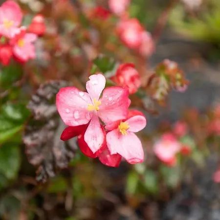 Vakantiehuis Portas Da Levada A By Rent-a-key