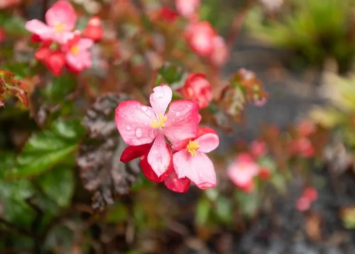 Дом отдыха Portas Da Levada A By Rent-a-key